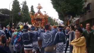 井草八幡宮　平成２７年例祭　青梅街道渡御　宮神輿渡御　２０１５．１０．４　Igusa Hachiman-gu  Mikoshi Festival