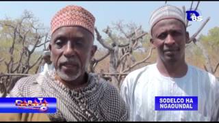 DARAJAH FULBE 17             DARAJA SODELCO BE TABITAL AL AADAH                     ABBO ET GOMA