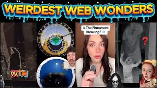 weirdest web wonders vol 214