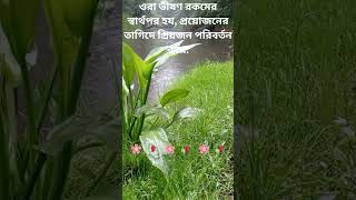 ওরা ভীষণ রকমের#jokes #motivation #banglafunnystory #viral #love #banglastories #vlog #videos #reels