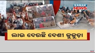 Bazaar Halchaal: SHG Women's Successful Country Chicken Cultivation In Berhampur