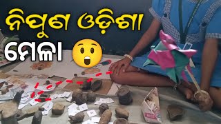 ବାଃ ବାଃ ରେ ପିଲେ 😊 Nipun Odisha Mela 2025 | Best FLN TLM Mela | NIPUN Bharat | NIPUN Odisha