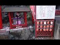 【徳島県 眉山天神社】とくしま花手水めぐり②【徳島市 眉山町】