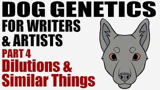 Dog Genetics for Writers \u0026 Artists part 4: Dilutions \u0026 Similar Things [CC]