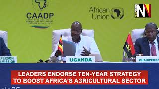 Leaders Leaders endorse ten-year strategy to boost Africa’s agricultural sector