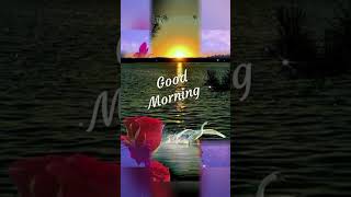 Dhokha dene wale ki Chh nishaniya 🥲💔🌄🌄💔😭🥲💔🥲😭 #good morning video#short viral video#sad shayari😭🌹🥲💔🥲🥲