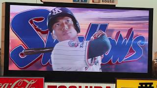 2019 開幕シリーズ 東京ヤクルトスワローズ×横浜DeNAベイスターズ スタメン発表 現地映像