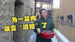 1078 狼吃生肉有多猛？一大盆还不够塞牙缝，狼王和老婆抢肉成“渣狼”