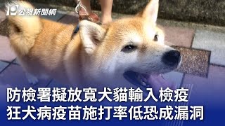 防檢署擬放寬犬貓輸入檢疫 狂犬病疫苗施打率低恐成漏洞｜20231119 公視晚間新聞