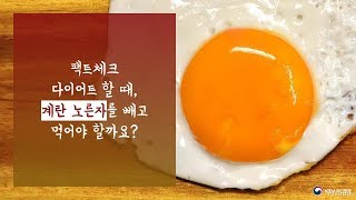 팩트체크, 다이어트 할 때, 계란 노른자를 빼고 먹어야 할까요?