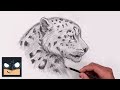 How To Draw Snow Leopard | YouTube Studio Sketch Tutorial