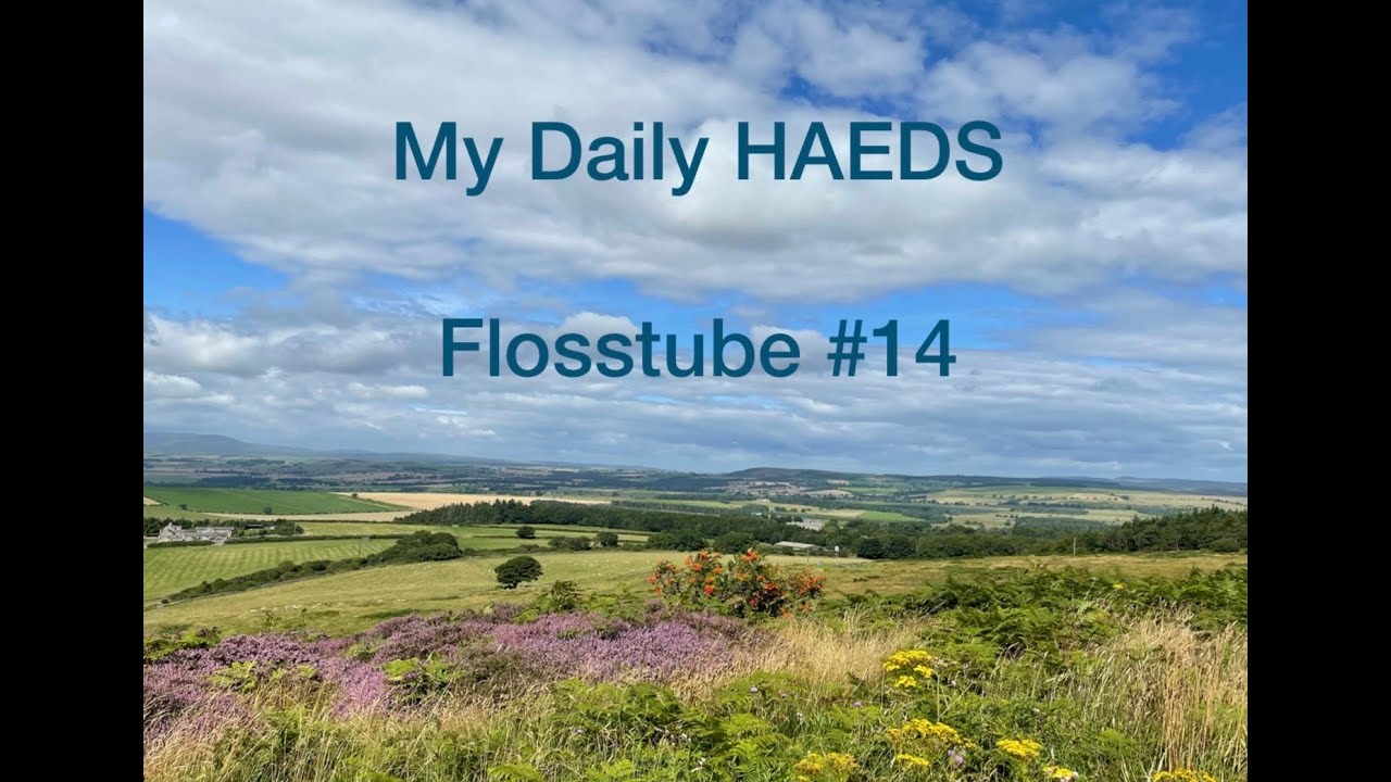 Flosstube 14 Youtube