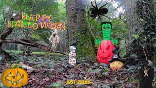 31 oktober 2024 Happy Halloween 🎃halloween @ the forest Birds  a mindfulness, relaxation and nature