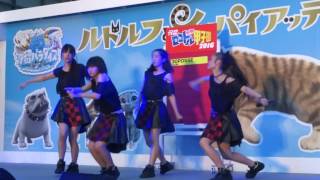 30POSSE　2016.8.7　汐留ロコドル甲子園2016