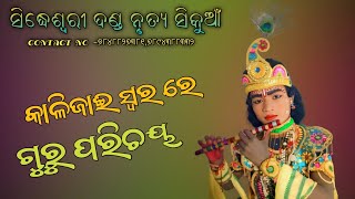 ଗୁରୁ ପରିଚୟ || ଶିବା କୃଷ୍ଣ || guru parichaya || shiba krushna || sidhheswari danda nrutya sikuan