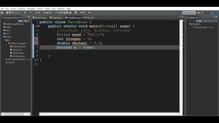 123Java #2: Understanding Variables and Types (String, int, double, boolean)