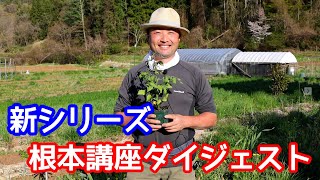 【自然菜園】新シリーズ『自然菜園 根本講座』 ４月の講座冒頭１０分