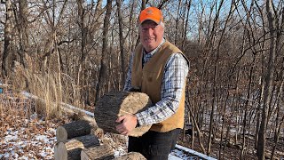 Part 3:  Unloading wood at home. Emerald Ash Borer Evidence at 4:13