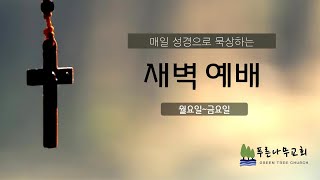 [보령푸른나무교회] 2025년 2월 4일 새벽예배 / 수 22:21-34 그 제단을 엣이라 불렀으니