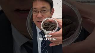 【薬日本堂】むくみ防止など嬉しい効能がたくさん！注目食材で作るブレンド茶　#漢方 #shorts #漢方養生指導士 #むくみ #血流促進 #ヒハツ #三年番茶 #鈴木養平