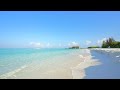 paradise found maldives beach and crystal blue waters. ocean 4k ultra hd