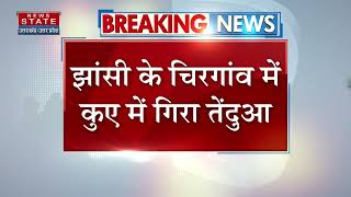 Jhansi: चिरगांव वन रेंज में सूखे कुएं में गिरा तेंदुआ, काफी मेहनत के बाद तेंदुए को बाहर निकाला