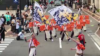 2019 第16回 紀州よさこい祭り 海友会 dance team 楽舞和 ぶらくり競演場 その2