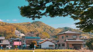 Japanese Village|Ashikaga|Tochigi ken|Japan