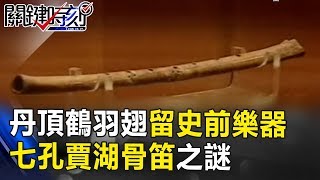 丹頂鶴身上羽翅留下的史前樂器 七孔「賈湖骨笛」之謎！？  關鍵時刻20171218-4 馬西屏   劉燦榮 朱學恒 傅鶴齡 黃創夏