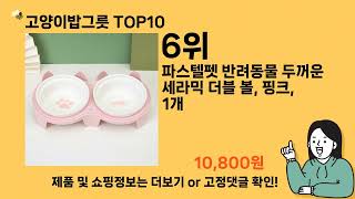 고양이밥그릇 추천 Top10 ll 가격 평점 후기 비교