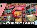 5K Worth Fishes Unboxing!🐠 | புது மீன்கள் வாங்கியாச்சு!🦈 | Giant Gowra