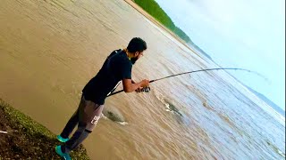 Catching snappers on crazy shrimps  270₹ in muddy waters ||shrimps stocks update Rock shore fishing