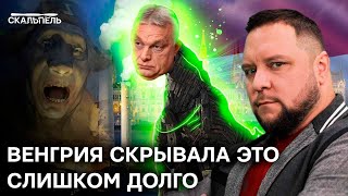 ВЫГОДА или политический ИДИОТИЗМ? Почему Орбан так \