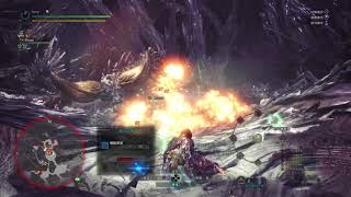 MHW - 歷戰滅盡龍 : 擴散弩 2'29