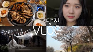 [VLOG] 당진여행인듯 아닌듯? | 결혼식을 위해 다녀온 당진 브이로그 | 쪽갈비, 역전할머니맥주, 설악웨딩, 당진씨티호텔