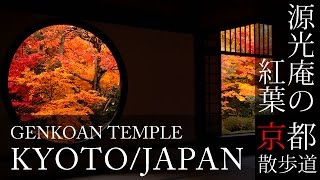 京都観光 源光庵の紅葉(Autumn leaves of Genkoan temple in Kyoto,Japan)BGMで日本旅行 / そうだ京都行こう / 京都散歩道