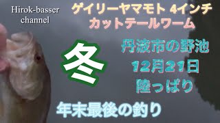 丹波市野池にてバス釣り　2022年12月21日 冬　ゲイリーヤマモト4インチカットテールワーム　ノーシンカー