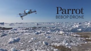 Parrot Bebop Drone prototype flying over Arctic and Bering strait (August 2014)