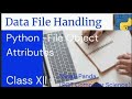 Data Handling|Python- File Object Attributes| Class XII Computer Science