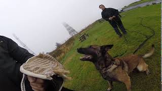 K9-Manhunt Scotland K9 mato