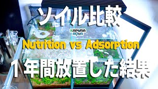 吸着系ソイルって本当に綺麗になるのか？プラチナソイルとデルフィスリベラソイルを放置して比較！吸着系vs栄養系 アクアリウム 初心者