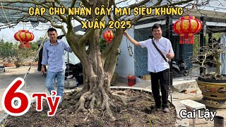 Gặp Chủ Nhân Cây Mai 6 Tỷ Xuân 2025 Khủng Nhất Cai Lậy 0708922922