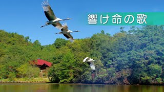 岡山県自然保護センター30th記念PR動画