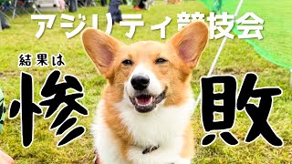 【アジリティ競技会】転倒したパパの元へすぐに駆けつけました！【感動】