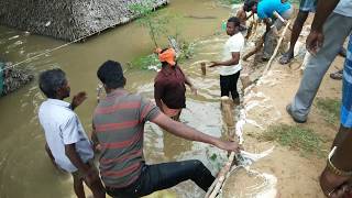 Sirkali near Kollidam River Today -2018