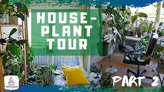 HOUSEPLANT TOUR +300 PLANTS | Part 2: Medium-low light higher humidity