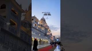 Harmandir sahib #ytshortsindia #mehra #music #the edit