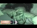 (ZT) FREESMOKE x BALISTIK - NEIGHBOURHOOD HEROES (Music Video) | Pressplay