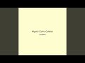 Mystic Echo Golden