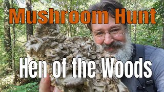 Mushroom Hunt - Hen of the Woods Mushrooms